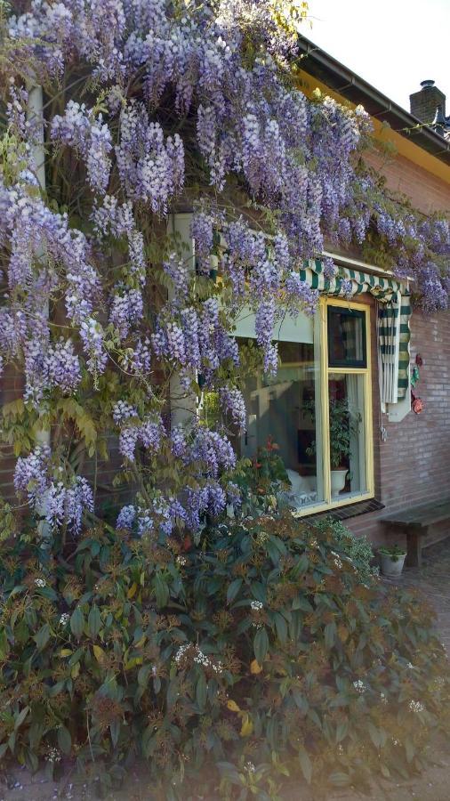 B&B De Vlinder Hardenberg Luaran gambar