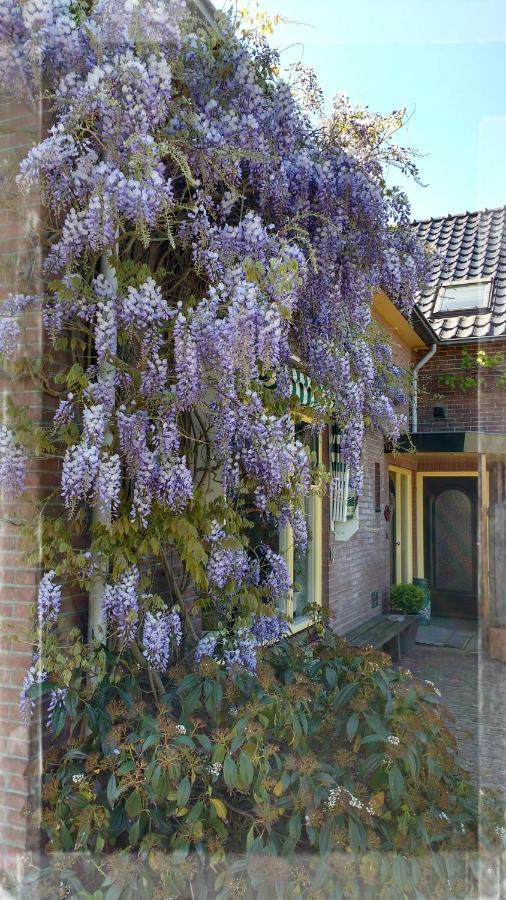 B&B De Vlinder Hardenberg Luaran gambar