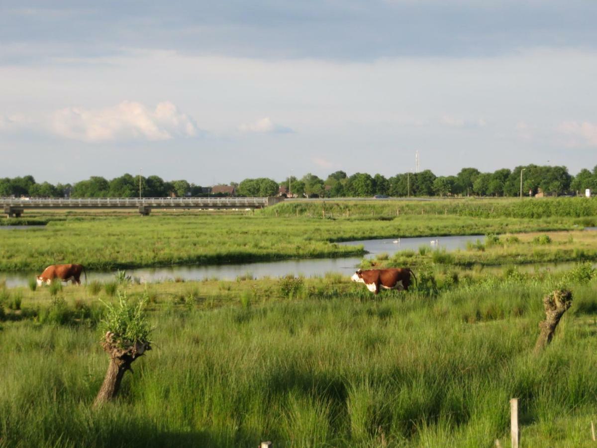 B&B De Vlinder Hardenberg Luaran gambar