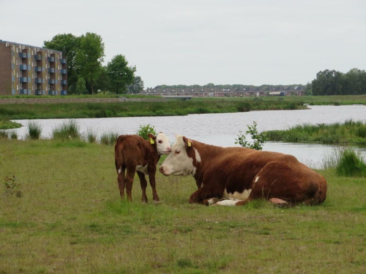 B&B De Vlinder Hardenberg Luaran gambar